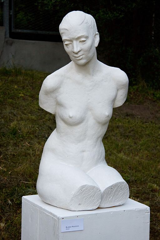 Společná výstava, červen 2010